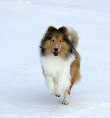 JourneySnow3.12